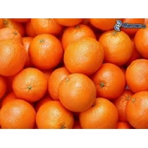 Pomaranče na šťavu BIO cena za kg
