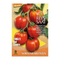 Semienka paradajky Red cavern REINSAAT
